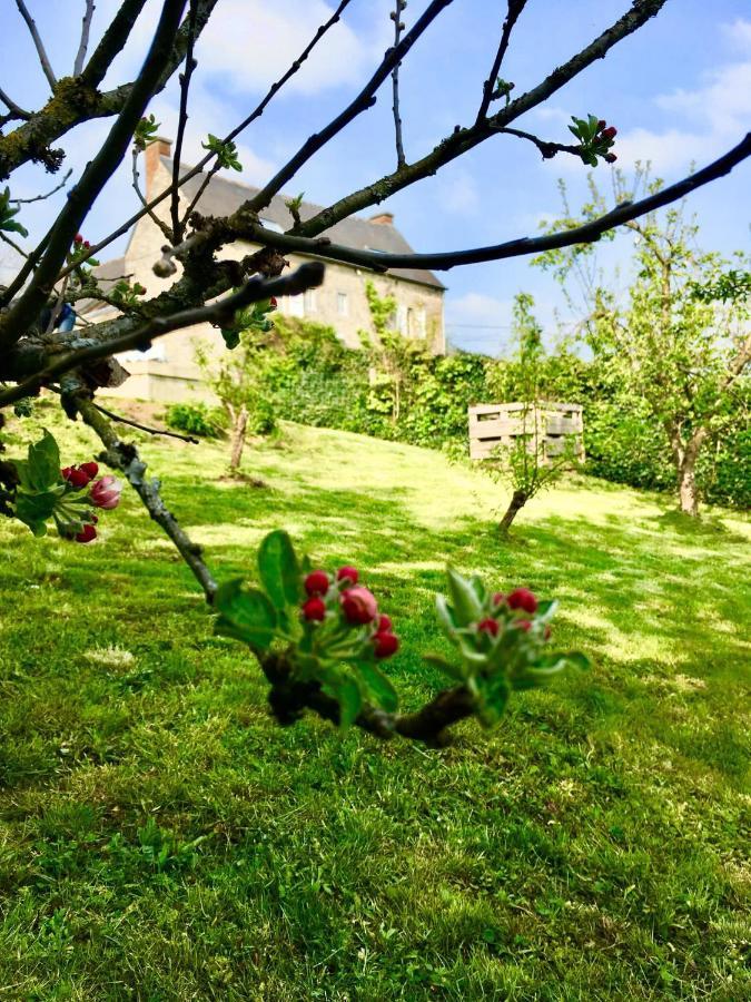 Gite La Petite Beurrerie Des Ardennes Celles  Екстер'єр фото