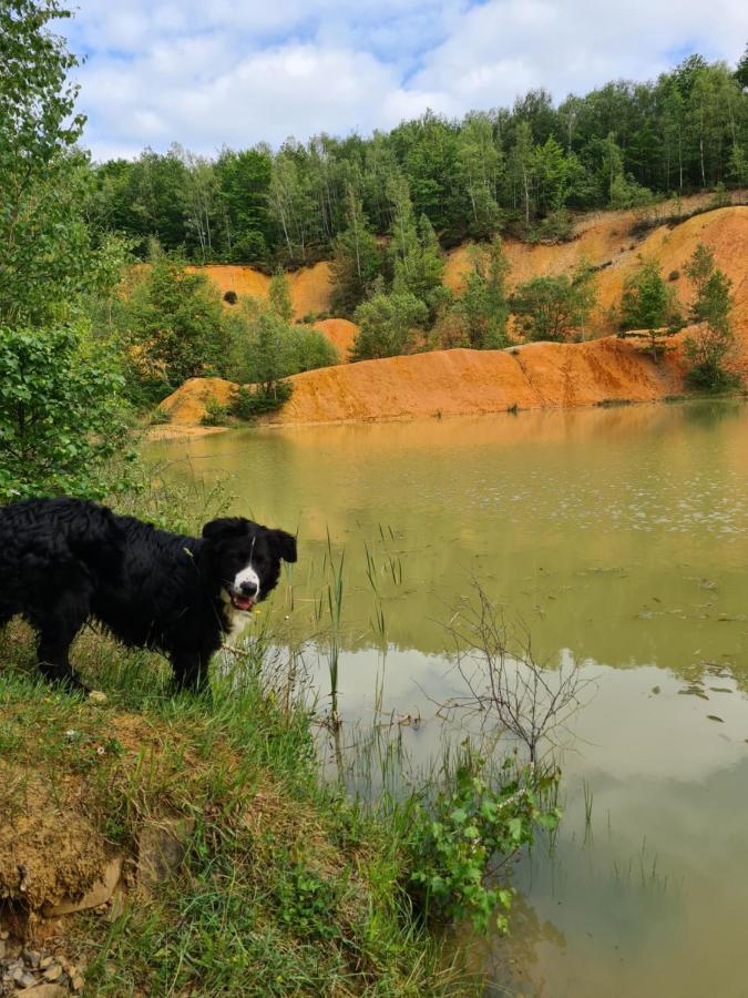 Gite La Petite Beurrerie Des Ardennes Celles  Екстер'єр фото