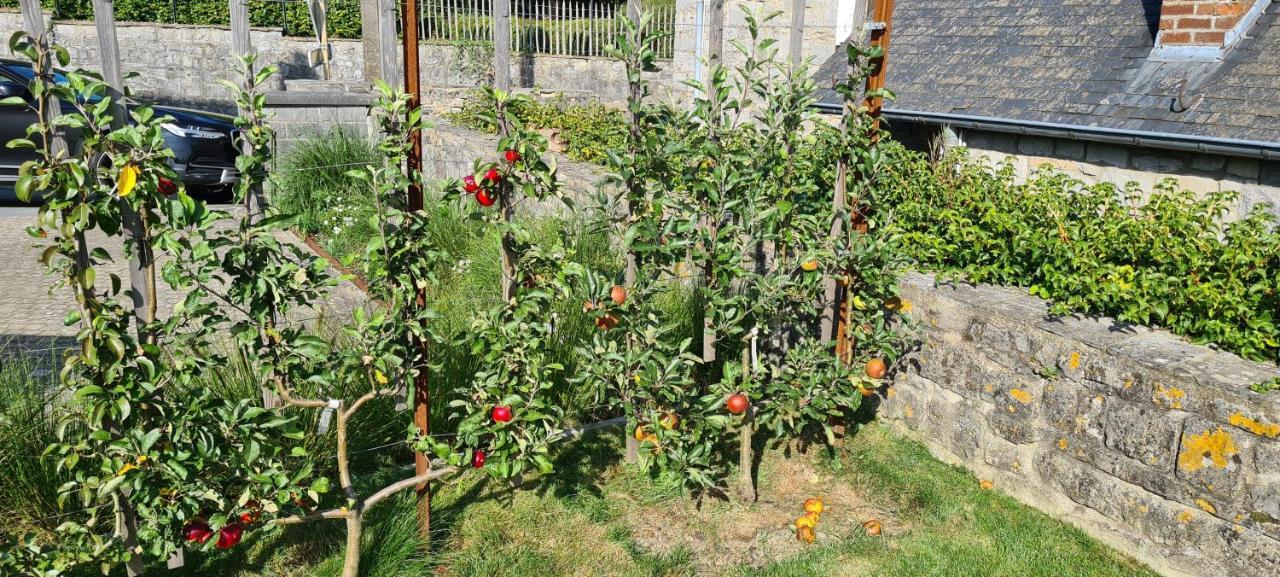 Gite La Petite Beurrerie Des Ardennes Celles  Екстер'єр фото