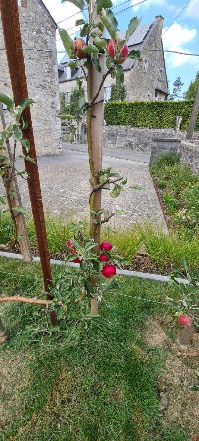 Gite La Petite Beurrerie Des Ardennes Celles  Екстер'єр фото